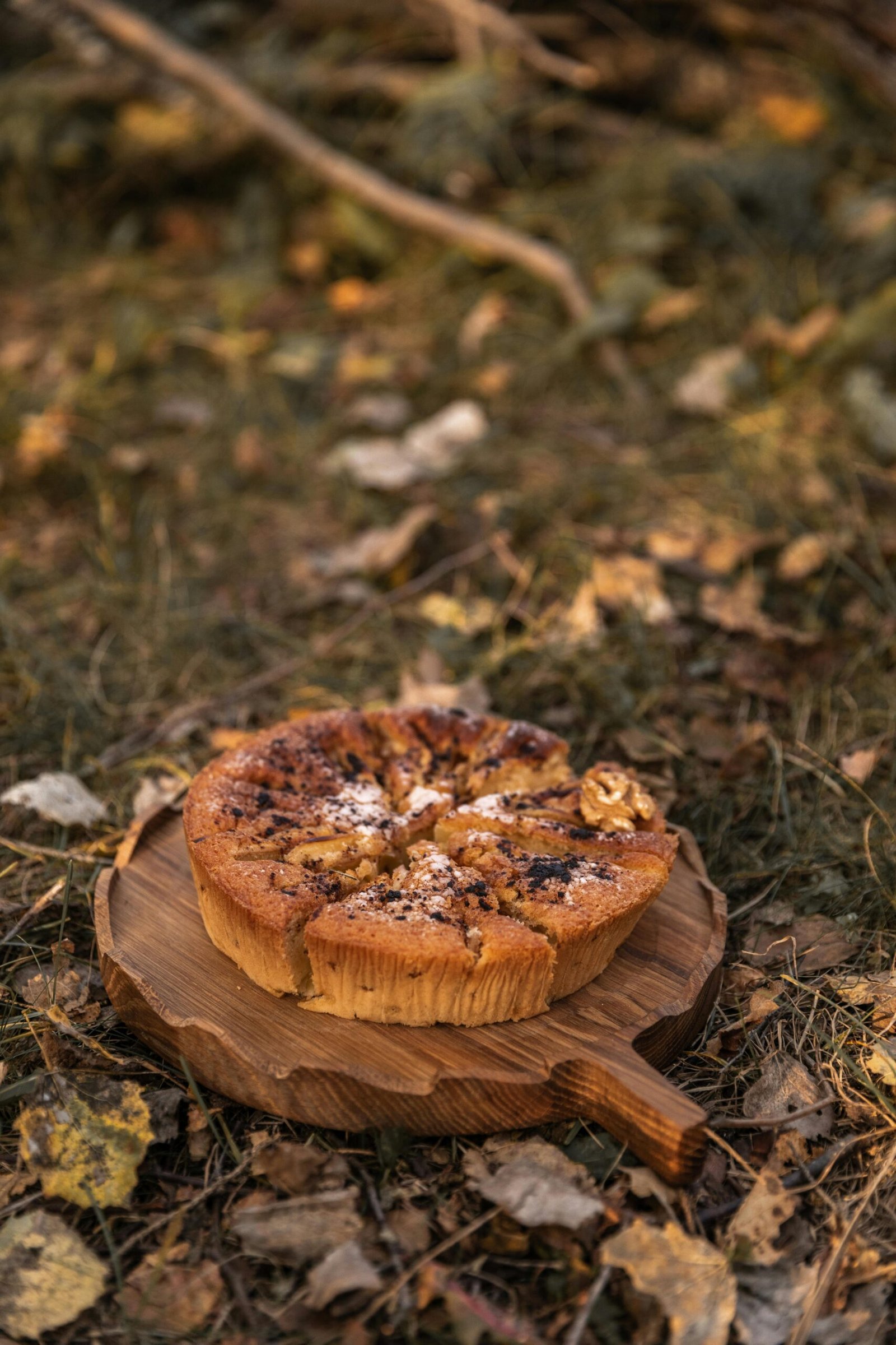 Fall Themed Cakes